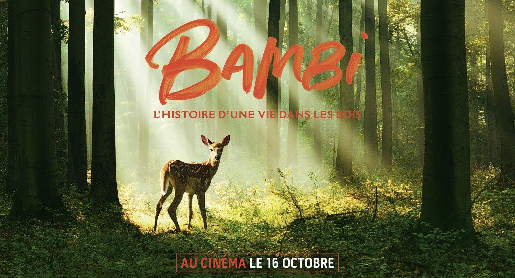 actualité BAMBI